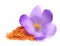 Flower crocus and dried saffron spice