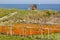 Flower cultivation by the sea, Italy