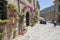 Flower decorated facade picturesque Valldemossa