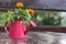 Flower decoration of a table in a street cafe