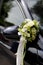 Flower decoration wedding car