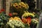 Flower display outside florist shop.