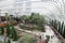 Flower Dome, Gardens by the Bay 3