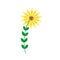 A flower with elongated yellow petals looks like a sunflower. Flowers and plants. Vector illustration in flat style