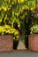 Flower Entry to the House with Orange Brick Wall