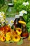 Flower essential oil and tincture
