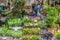 Flower farmer`s market stand with woman