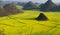 flower field of Luoping