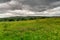 A flower filled Spring meadow under a moody sky.