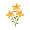 Flower flat icon, plant nature, chamomile sign, a colorful solid pattern on a white background, eps 10.