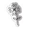 flower flora wild icon monochrome