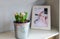 Flower in flowerpot and photo. Home decoration.