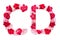 Flower font alphabet C D set collection A-Z, made from real Carnation flowers pink, red with paper cut shape of capital letter