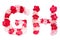 Flower font alphabet G H set collection A-Z, made from real Carnation flowers pink, red with paper cut shape of capital letter
