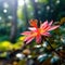 A flower in the forest with sunlight shining through, AI