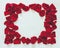 Flower frame petals of red roses on a white background