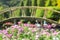 Flower garden with arched wooden bridge in the background.