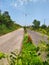 Flower garden on asphalt road ground