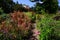 Flower Garden behind a home