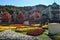 Flower garden at Everland amusement park Resort, South Korea