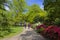 Flower garden in Greenwich park, London