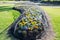 The flower garden has protected by cover up with bird Netting.