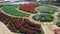 Flower garden with many purple lavender flowers, Scarlet Sage, chrysanthemum in the eco-tourism