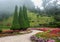 Flower garden and mist background