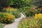 Flower Garden With Path