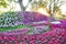 Flower garden plenty of flowers rounded by trees at sunset