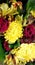 Flower Garden Series - Yellow Chrysanthemums with Red Roses