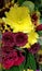 Flower Garden Series - Yellow Chrysanthemums with Red Roses