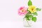 Flower in a glass vase, roses close-up on a white background in a vase, postcard for a holiday, beautiful flowers,