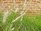 Flower grass and brick wall