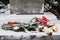 Flower on Grave of Josef Stalin in front of the Kremlin wall. Kremlin Wall Necropolis in winter in Moscow. Russia