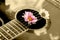 flower and guitar