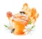 Flower honey illustration. Watercolor jar of honey with camomile flowers and butterfly painting