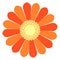 Flower icon. Cartoon bright petal blossom. Nature symbol