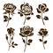 Flower icon. Set of decorative rose silhouettes