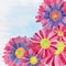 Flower Illustration Background