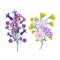 Flower illustration look awesome design