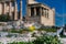 Flower inside the rocks, near Erechtheion at Parthenon Acropolis