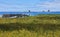 Flower Island Lighthouse, Newfoundland