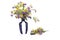 Flower Ivan-da-Marya or Melampyrum nemorosum