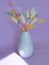Flower lagurus vase fluffy on colored background