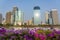 Flower at Lakeside on skyscraper business centre. Business district cityscape concept. city view sunset reflection cross lake view