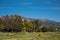 Flower landscape, Calvary Cemetery. Santa Barbara, CA, USA