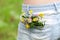 Flower in a large pocket of jeans trousers, summer concept