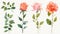 flower and leaves with watercolor assets