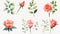 flower and leaves with watercolor assets